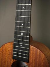 Millar CPA-E Concert【S/N 115】_15
