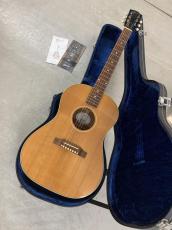 Gibson LG-2 American Eagle Fishman製 ピックアップ付き!