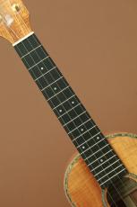 Tony Graziano Concert Koa_6