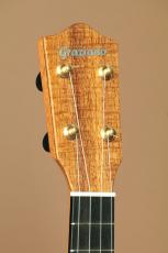 Tony Graziano Concert Koa_8