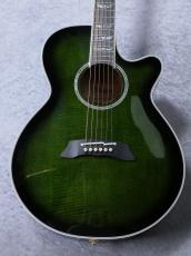 Takamine 【美品中古!】FPT181AC SGS
