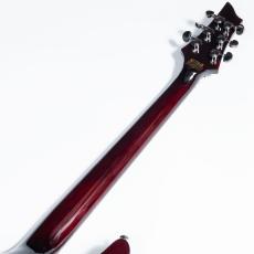 SCHECTER AD-C1-FR-HR_8