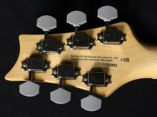 Paul Reed Smith [PRS] SE Silver Sky Piano Black 2023_9