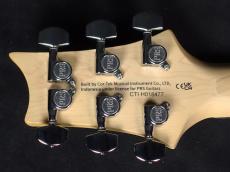 Paul Reed Smith [PRS] SE Studio Standard Sage Green 2025_9