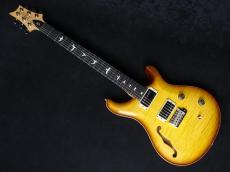 Paul Reed Smith [PRS] CE 24 Semi-Hollow Custom Configuration Livingston Lemondrop 2023 ☂6月限定SALE☂_2