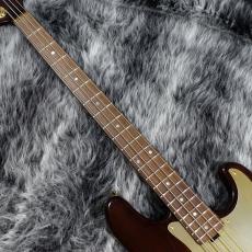 NO BRAND PJ Bass_3