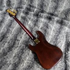 NO BRAND PJ Bass_5