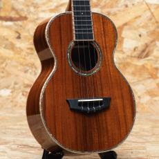Truth TKT-2236 CST Tenor