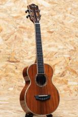 Truth TKT-2236 CST Tenor_3