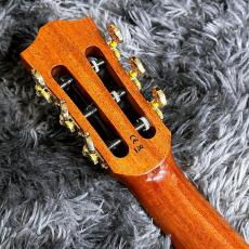 Bromo Guitars BEN2C NAT (Natural)_7