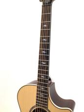 Taylor Next Generation 812ce_4
