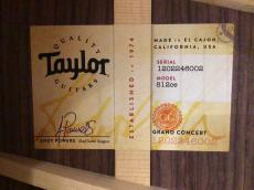 Taylor Next Generation 812ce_9