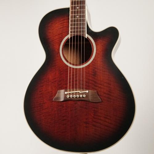 Takamine DSP-110 MOD【USED】