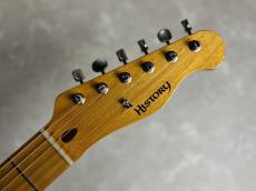 HISTORY HTL/m/ash-Premium Hrad Aged White Blonde_7