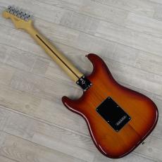 Fender Player Stratocaster HSS Plus Top Aged Cherry Burst【2022年製】_6