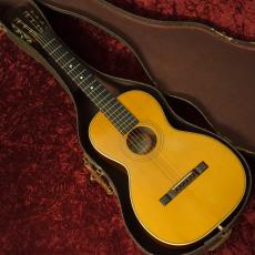Washburn Style 115