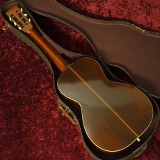 Washburn Style 115_2