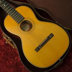 Washburn Style 115_3