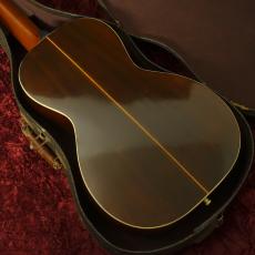 Washburn Style 115_4