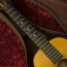 Washburn Style 115_5