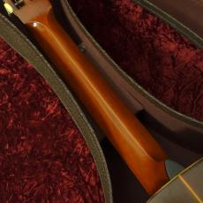 Washburn Style 115_6