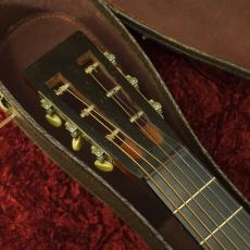 Washburn Style 115_7
