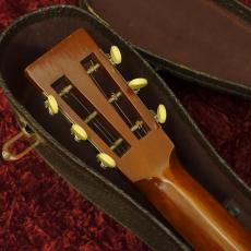 Washburn Style 115_8