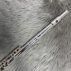 Altus A9E Eメカニズム付　オフセット　フルート_2