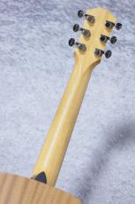 Taylor 【NAMM 発表モデル 限定カラー】GS Mini-e Blue Burst_8