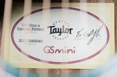 Taylor 【NAMM 発表モデル 限定カラー】GS Mini-e Blue Burst_10