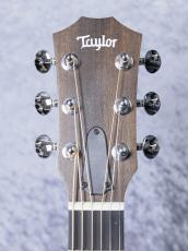 Taylor 【NAMM 発表モデル 限定カラー】GS Mini-e Blue Burst_11