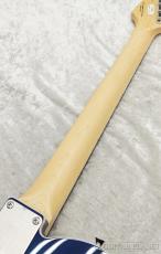 FUJIGEN NTE210RAH SBB【L250040】【3.52kg】_8