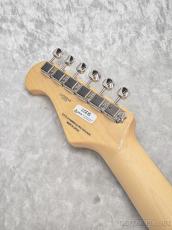 FUJIGEN NTE210RAH SBB【L250040】【3.52kg】_10