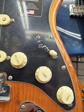 Fender 【在庫一掃セール!】American Professional II Stratocaster -Roasted Pine/Rosewood-_10