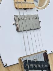 Fender Custom Shop Albert Collins Signature Telecaster N.O.S -Natural-【チョイ傷特価!!】_8