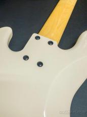 FUJIGEN NJB100RALV -Vintage White-【4.68kg】_8