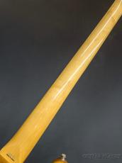Tokai AJB-101 -Natural-【4.01kg】_9