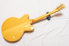Edwards E-SA-125LTS_2