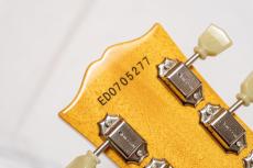 Edwards E-SA-125LTS_10