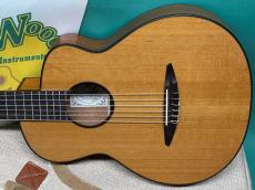 aNueNue aNN-N520AC (AUTUMN CEDAR) _2