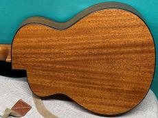 aNueNue aNN-N520AC (AUTUMN CEDAR) _3