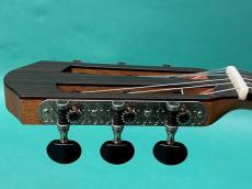 aNueNue aNN-N520AC (AUTUMN CEDAR) _7