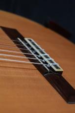 Marcelo Barbero Hijo [マルセロ・バルベロ・イーホ] para casa Arcangel model  松/ハカランダ単板_9