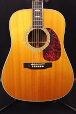 Martin D-40