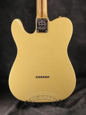 Fender USA 2012 American Standard Telecaster_13