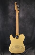 Fender USA 2012 American Standard Telecaster_14