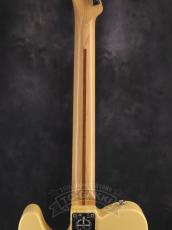 Fender USA 2012 American Standard Telecaster_15