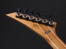 Jackson American Series Virtuoso HT Streaked Ebony Fingerboard ~Satin Black~_10