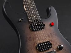 EVH 5150 Series Deluxe Poplar Burl ~Black Burst~_4