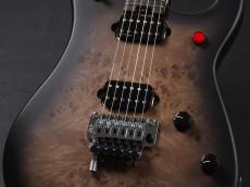 EVH 5150 Series Deluxe Poplar Burl ~Black Burst~_5